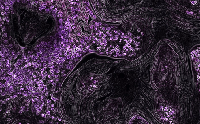 TARGET IDENTIFICATION