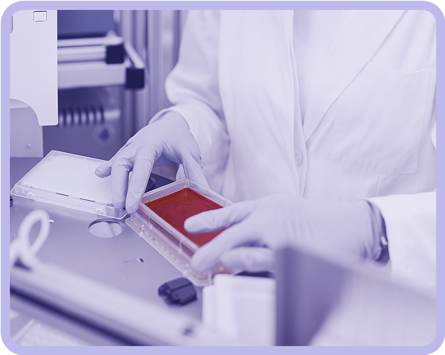 Quantitative Biology Applications